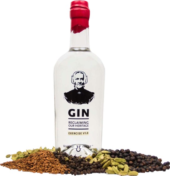 Wagging Finger Gin Experience 1.0 0,7l